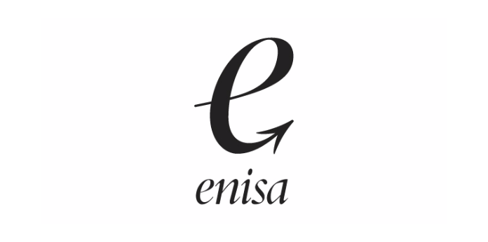 LÍNIES ENISA 2021